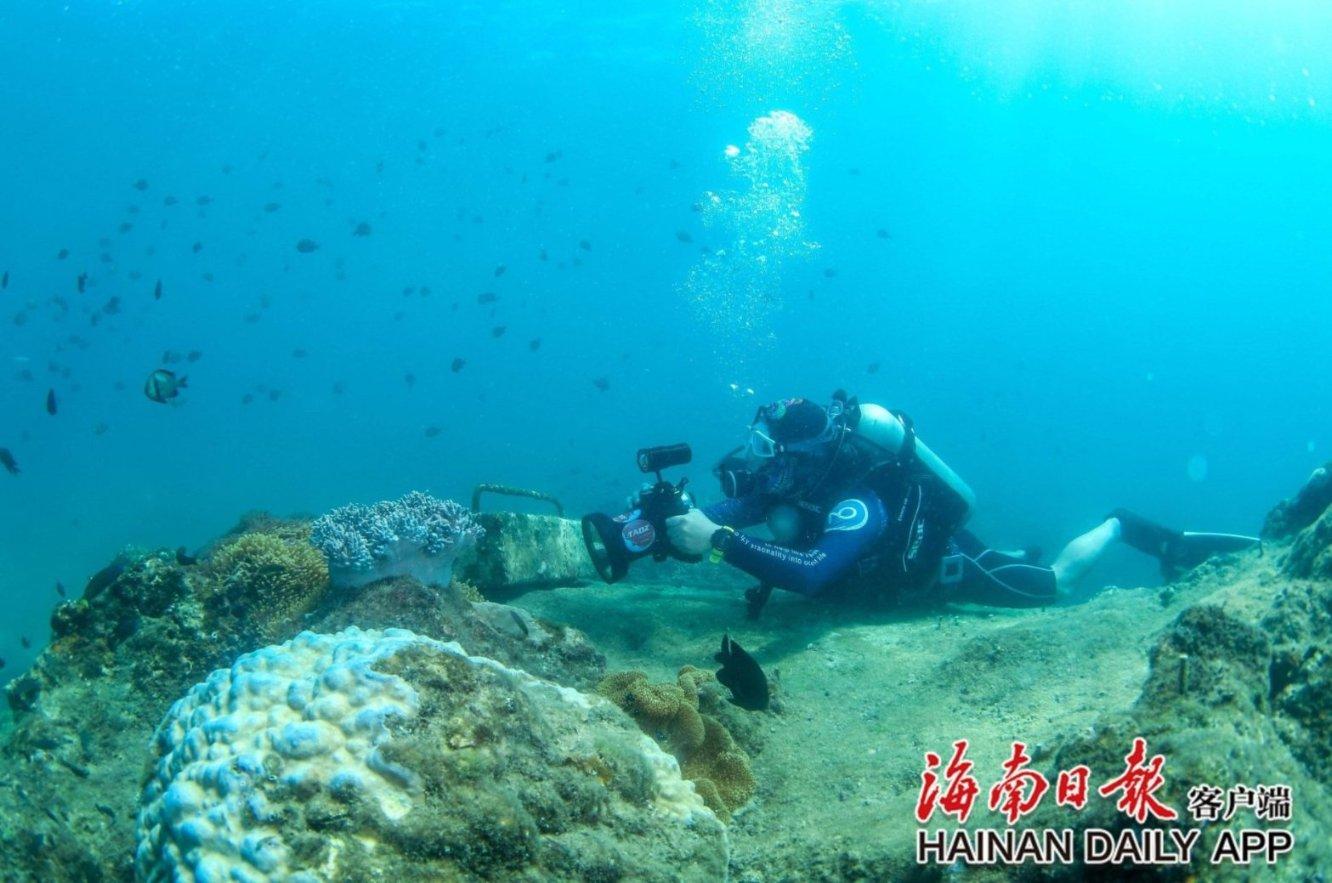 虫虫助手下载